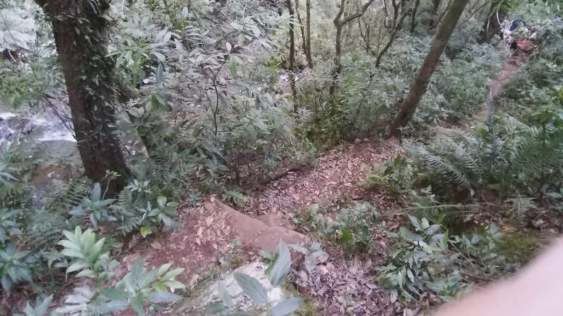 O acesso at&eacute; a v&iacute;tima era dif&iacute;cil, por isso foi preciso abrir um caminho em meio a mata para fazer o resgate – Foto: Amauri Pereira