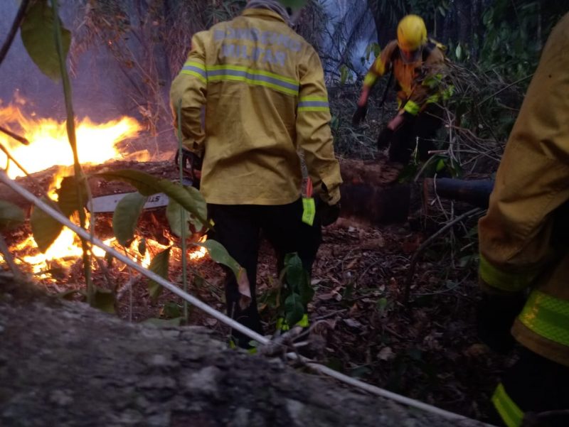 Equipes auxiliaram no combate ao fogo &#8211; Foto: Corpo de Bombeiros/Divulgação/ND