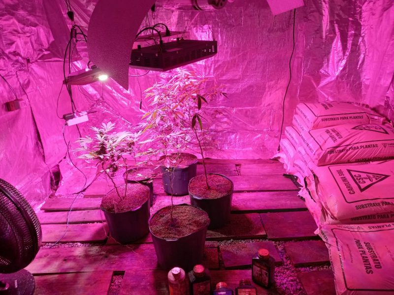 Estufa no bairro Praia Brava – Foto: DIC Itaja&iacute;