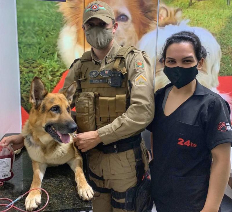 C&atilde;o realizou doa&ccedil;&atilde;o nesta quinta (22) – Foto: Divulga&ccedil;&atilde;o/ND