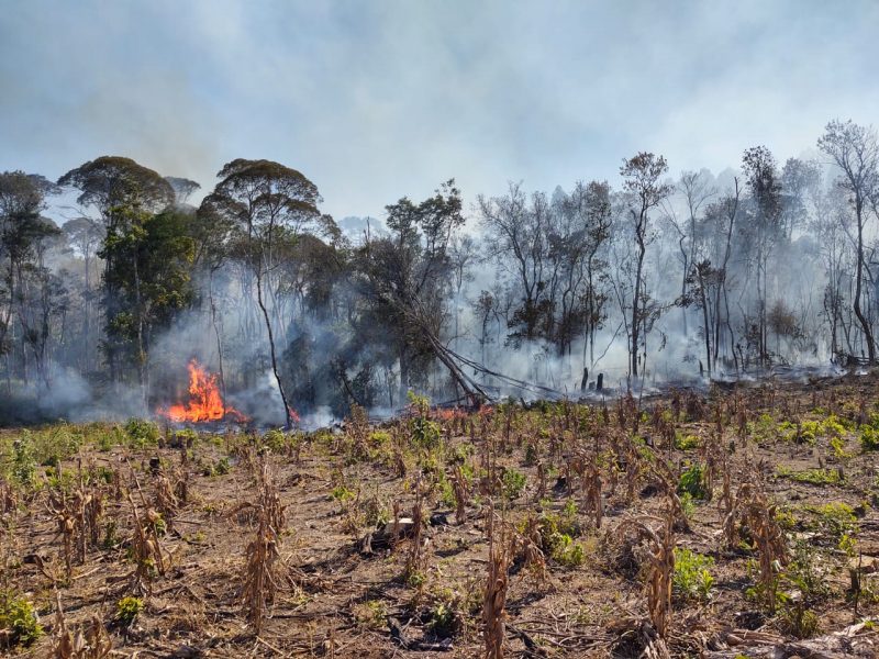Bombeiros levaram mais de tr&ecirc;s horas para combater as chamas que amea&ccedil;avam casas na regi&atilde;o – Foto: Bombeiros Militares/Divulga&ccedil;&atilde;o