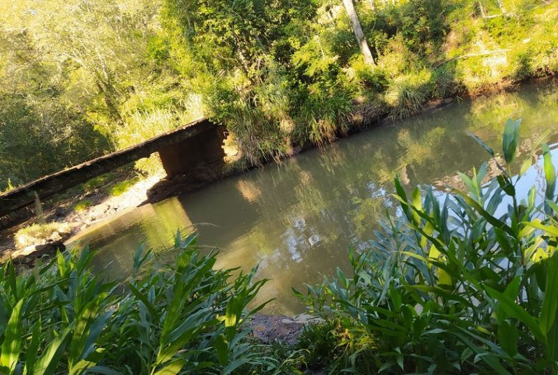 Homem de 54 anos morreu ap&oacute;s se banhar no rio Tra&iacute;ra, em Guaraciaba – Foto: Maico Zanotelli/Oeste em Foco