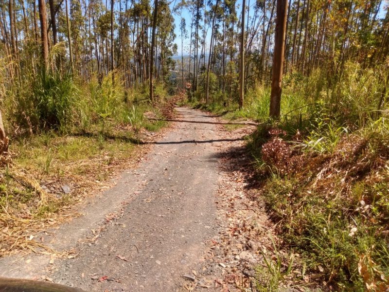 Estrada que leva para uma propriedade rural no interior de Agrol&acirc;ndia, no Alto Vale do Itaja&iacute;, foi o local escolhido para a emboscada ao candidato – Foto: Arquivo pessoal