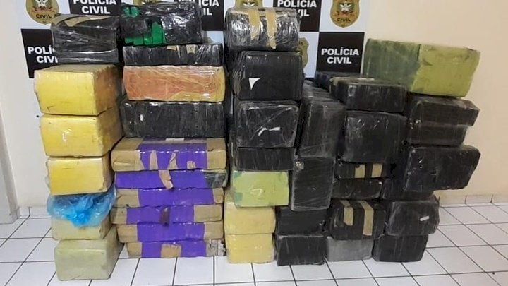 Mais de 800 quilos de maconha foram apreendidos em I&ccedil;ara – Foto: Divulga&ccedil;&atilde;o/Pol&iacute;cia Militar