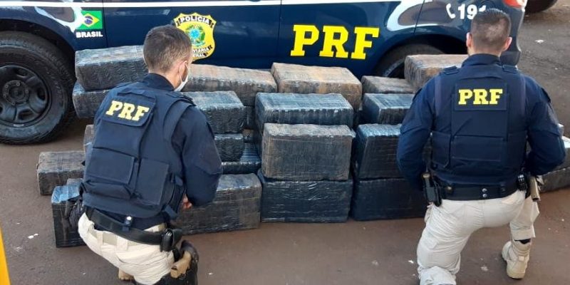 Maconha apreendida com o grupo – Foto: PRF/ND