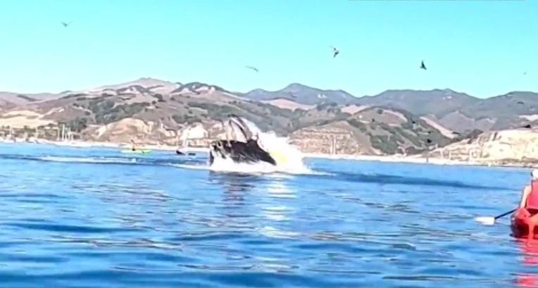 O fato aconteceu na &uacute;ltima segunda-feira (02) – Foto: CNN/Reprodu&ccedil;&atilde;o