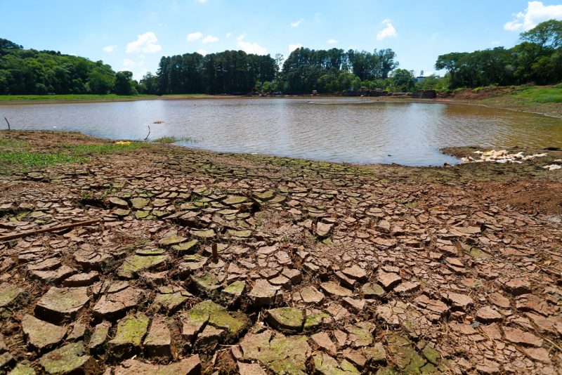 Situação é crítica principalmente no Oeste do Estado. – Foto: Secom/Divulgação/ND