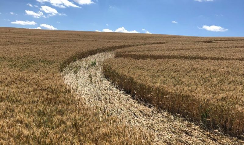 O desenho gerou curiosidade e d&uacute;vida. – Foto: Jean Bertosso/Revista UFO/Divulga&ccedil;&atilde;o