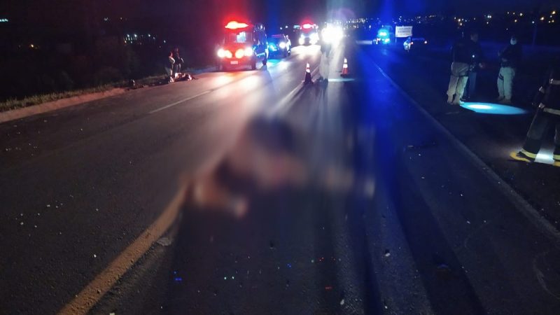 Animal tamb&eacute;m morreu no acidente – Foto: PRF/Divulga&ccedil;&atilde;o