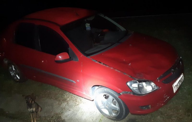 Carro vermelho à noite e cachorro ao lado