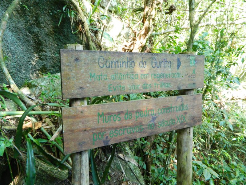 S&iacute;tio arqueol&oacute;gico hist&oacute;rico Caminho da Gurita, localizado na Lagoa do Peri – Foto: Floripa Arqueol&oacute;gica/Divulga&ccedil;&atilde;o/ND