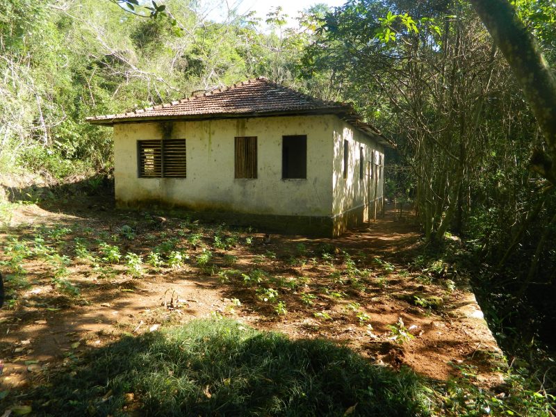 S&iacute;tio arqueol&oacute;gico hist&oacute;rico Engenho do Vitorino localizado na Lagoa do Peri – Foto: Floripa Arqueol&oacute;gica/Divulga&ccedil;&atilde;o/ND