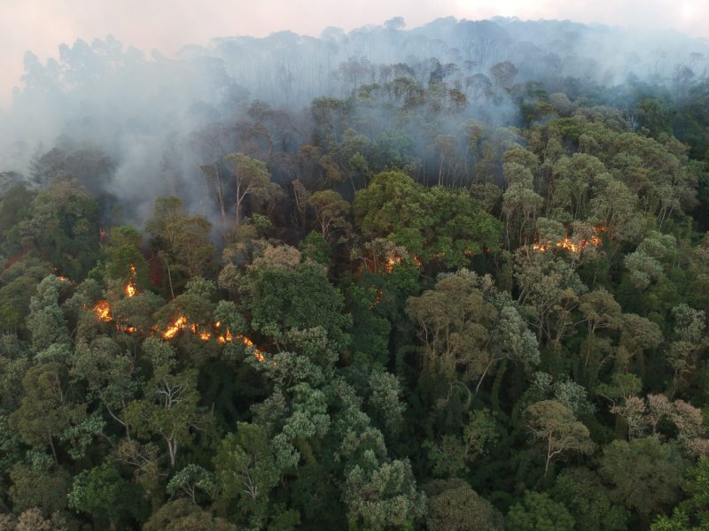 Inc&ecirc;ndios de grandes propor&ccedil;&otilde;es preocupam no Oeste – Foto: 14&ordm; BBM/Divulga&ccedil;&atilde;o/ND