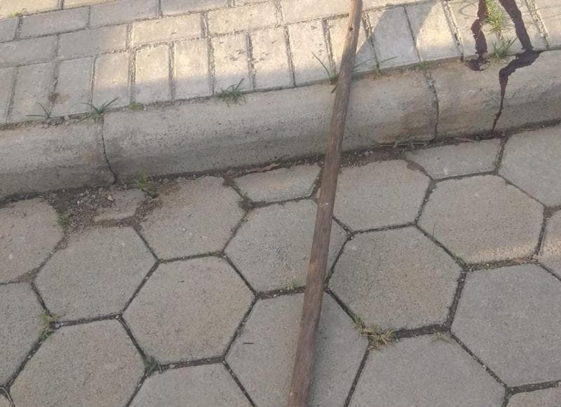 Homem &eacute; morto a pauladas depois de invadir casa em Balne&aacute;rio Pi&ccedil;arras – Foto: Reprodu&ccedil;&atilde;o