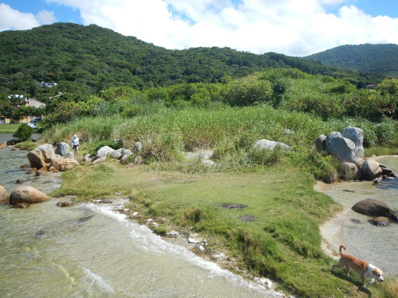 Sambaqui Ponta das Almas, localizado no Canto dos Ara&ccedil;&aacute;s, na Lagoa da Concei&ccedil;&atilde;o – Foto: Floripa Arqueol&oacute;gica/Divulga&ccedil;&atilde;o/ND