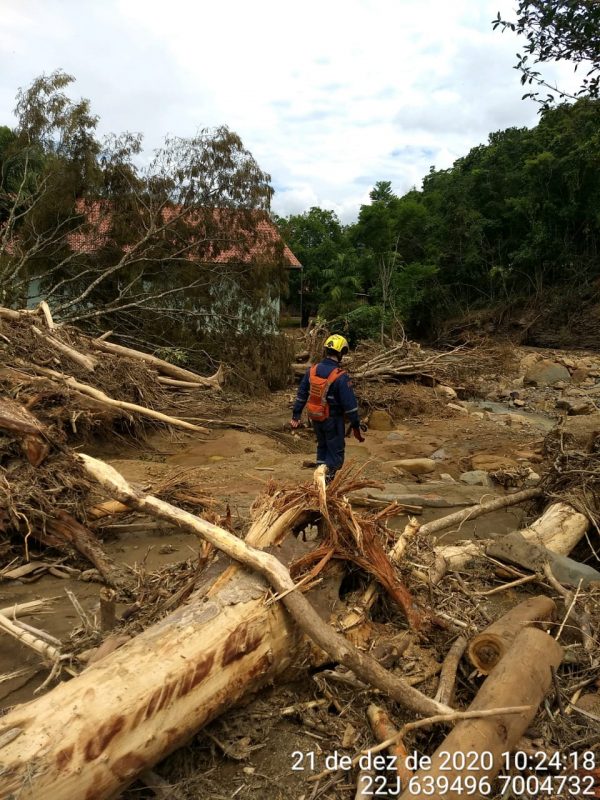 Árvores foram derrubadas e homem caminha em meio à lama
