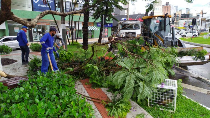 Equipes da prefeitura trabalham para amenizar os estragos causados pelo temporal desta quinta-feira (03) – Foto: Prefeitura de BC/Divulga&ccedil;&atilde;o