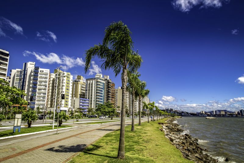 Foto da Beira-Mar Norte em Florianópolis. À esquerda os prédios da vida. No meio da foto a orla asfaltada com uma pequena faixa gramada e árvores, e à direita o mar.