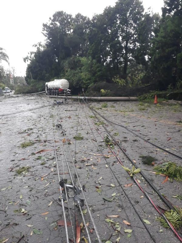 Quedas de postes e &aacute;rvores prejudicaram o abastecimento de energia el&eacute;trica em Blumenau e regi&atilde;o – Foto: Divulga&ccedil;&atilde;o/Celesc