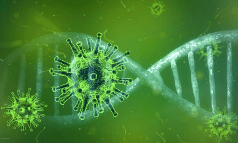 Em 2021, já foram 359 mortes registradas nos municípios da região – Foto: Pixabay