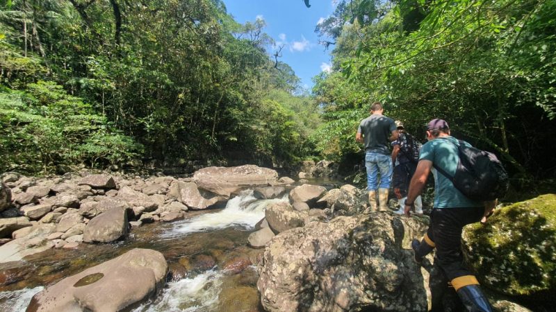 Cânion Fortaleza. – Foto: Ênio Frassetto | Prefeitura Municipal de Jacinto Machado/Divulgação