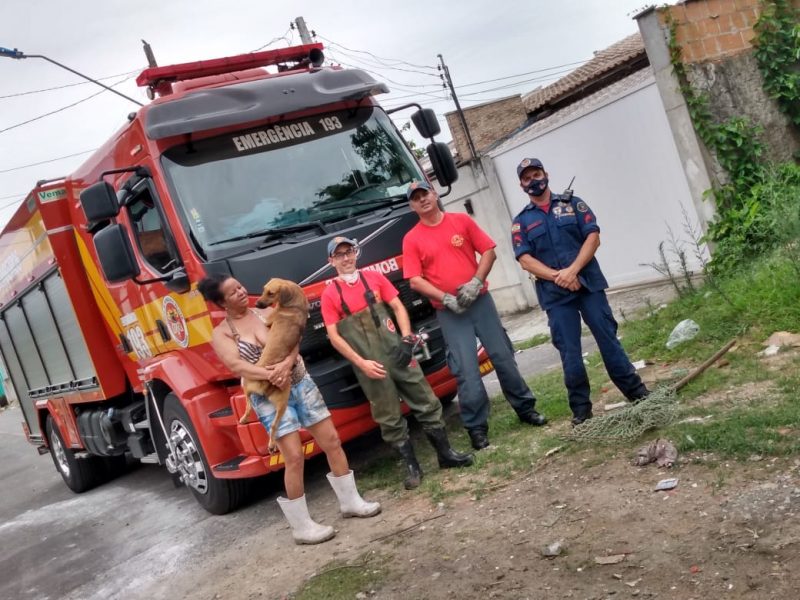 Animal se perdeu em um pasto do bairro Promorar em Itaja&iacute; – Foto: Corpo de Bombeiros/Divulga&ccedil;&atilde;o