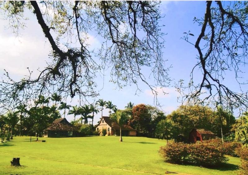 Parque Jardim Botânico Franz Damm de Timbó