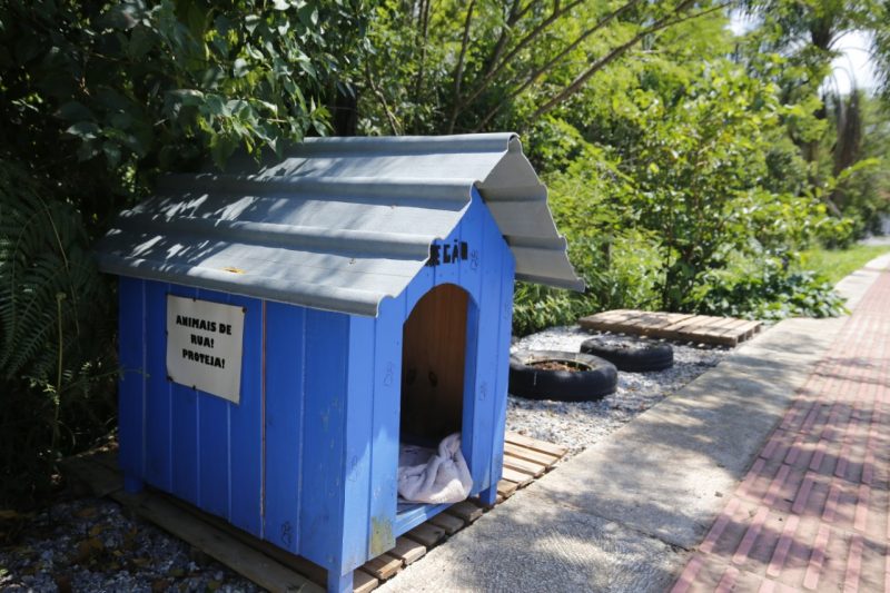 Morador de S&atilde;o Jos&eacute; foi intimado a retirar da cal&ccedil;ada uma casinha de cachorro – Foto: Anderson Coelho/ND