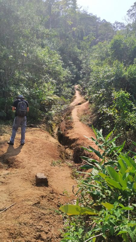 Morro do Cantagalo, em São Francisco do Sul – Foto: Prefeitura Municipal de São Francisco do Sul/Divulgação