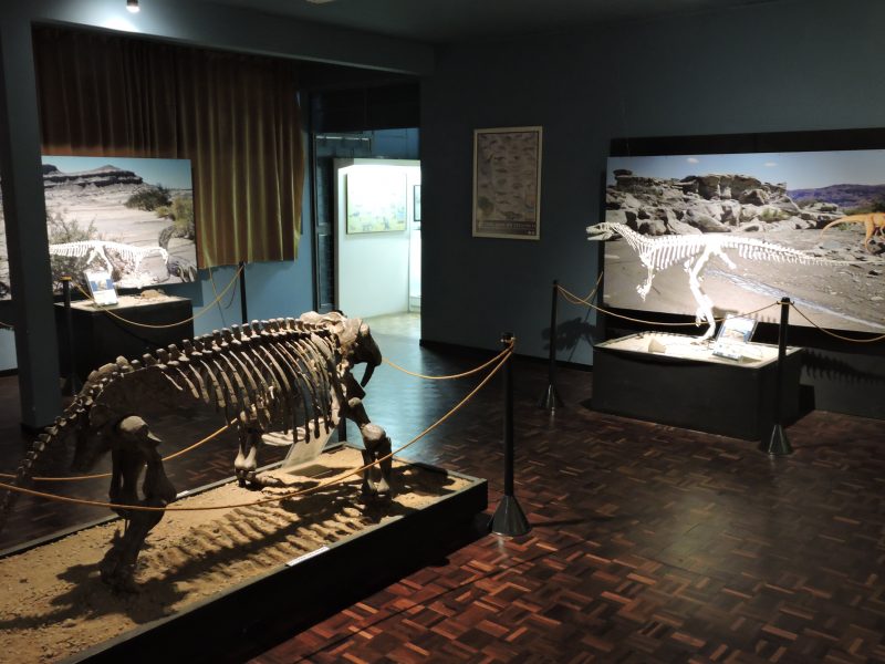 Museu da Terra e da Vida – Foto: Luiz Carlos Weinschutz