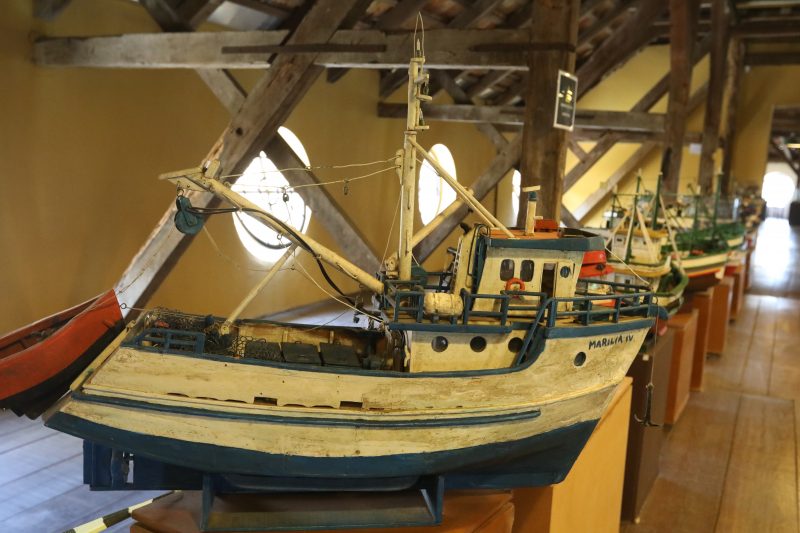 Foto interna do Museu Nacional do Mar, em São Francisco do Sul. Enfileirados, aparecem de forma lateral algumas réplicas de barcos sobre pedestais de madeira. Eles estão em um salão com chão de madeira e ripas que partem do teto. 