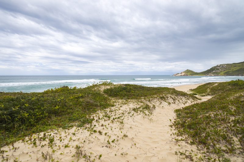 Praia Mole, em Florian&oacute;polis – Foto: Marcos Campos