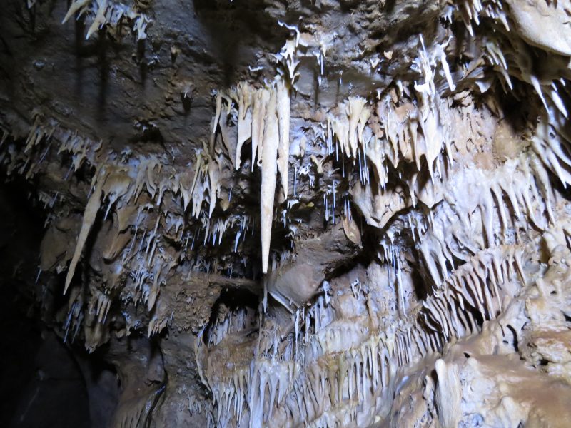 Parque Municipal das Grutas de Botuverá – Foto: Ruthe Maestri | Prefeitura Municipal de Botuverá/Divulgação