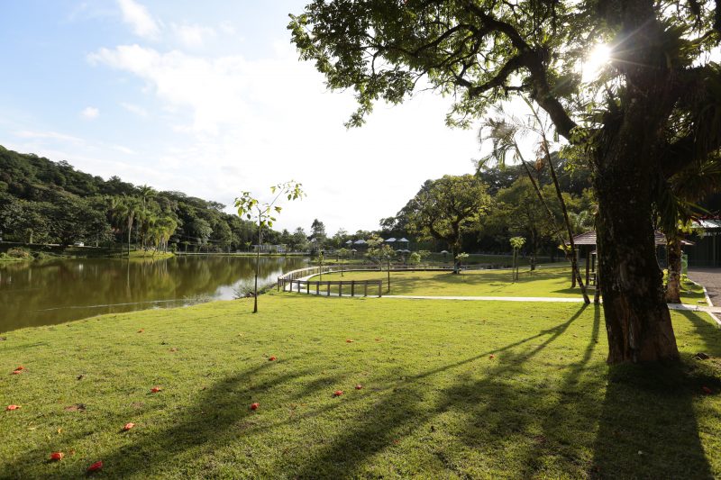 Sol vai voltar a brilhar em Joinville durante fevereiro – Foto: Rogerio da Silva/Prefeitura de Joinville/ND