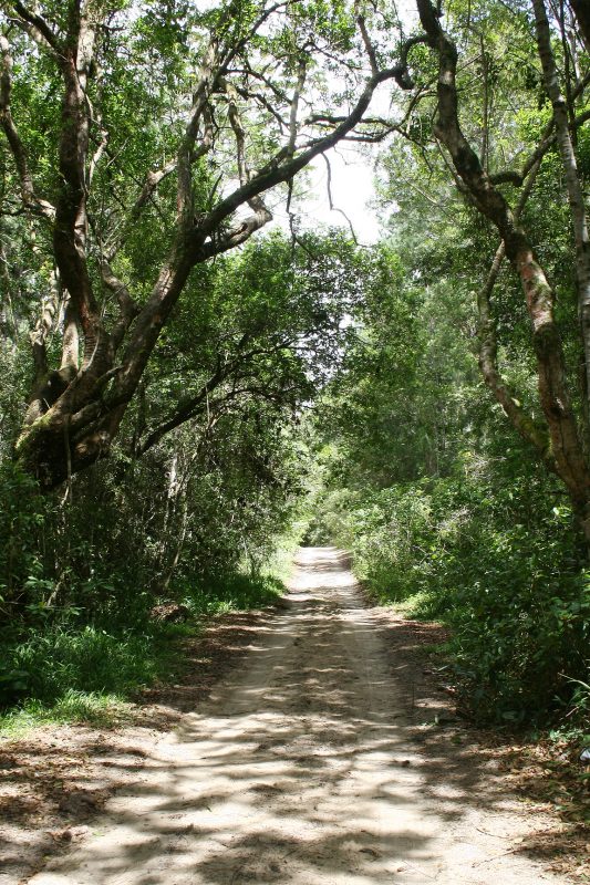 Praia de Mo&ccedil;ambique – Foto: Rosane/Arquivo ND