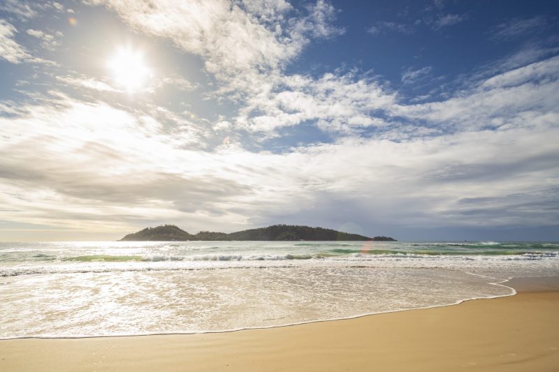 Foto mostra areia, mar e ao fundo um morro verde na Praia do Campeche, em Florianópolis.