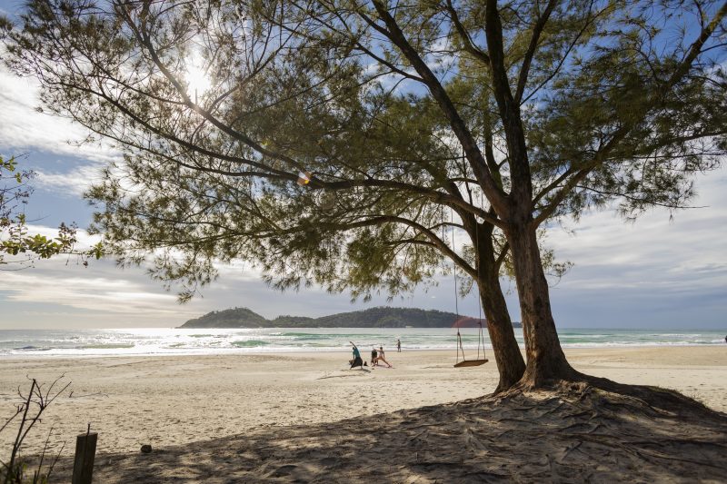 Praia do Campeche, em Florianópolis – Foto: Marcos Campos