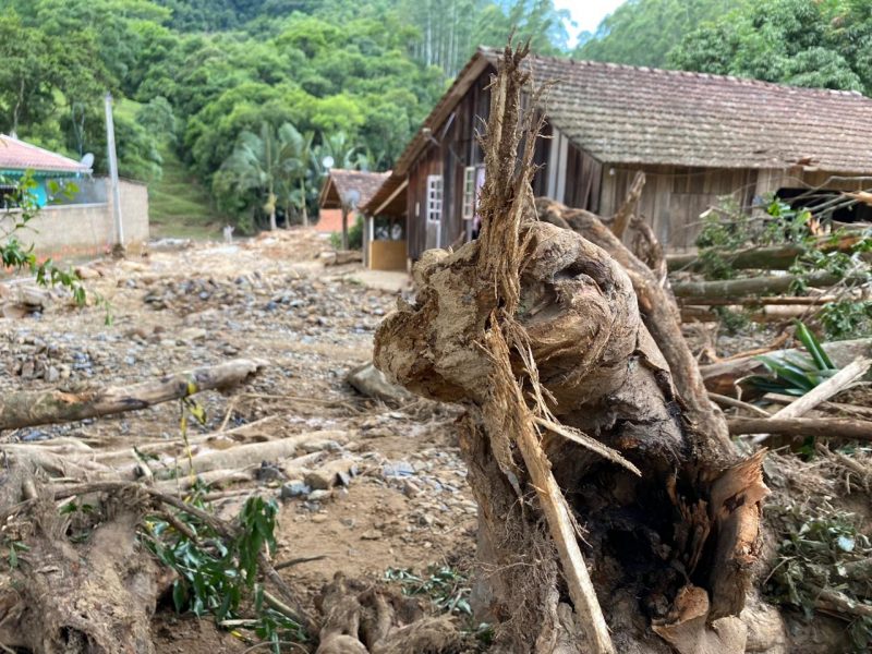 Trabalhos de limpeza seguem em Presidente Get&uacute;lio enquanto os bombeiros atuam na busca pelos desaparecidos – Foto: Mois&eacute;s Stuker/NDTV