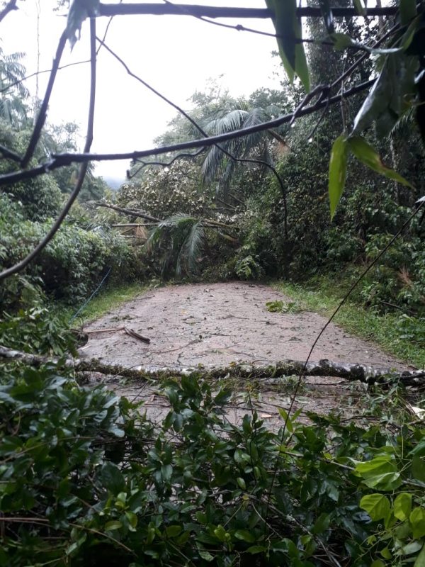 Rua Jacob Bornhofen – Passo Manso – Blumenau – Foto: Divulga&ccedil;&atilde;o/Prefeitura de Blumenau