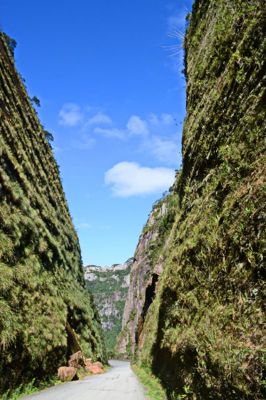 Serra do Corvo Branco – Foto: iStock/Divulga&ccedil;&atilde;o