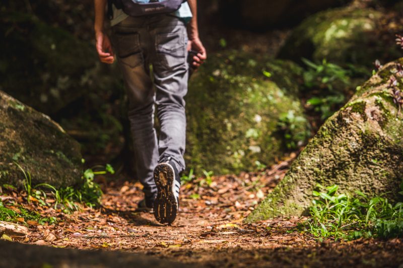 Trilha para chegar na Costa da Lagoa – Foto: Daniel Queiroz/Arquivo ND