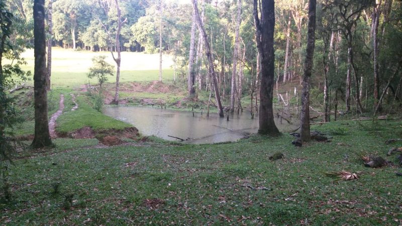 Corpo foi encontrado boiando em um lago no interior do munic&iacute;pio – Foto: Corpo de Bombeiros Militar/Divulga&ccedil;&atilde;o