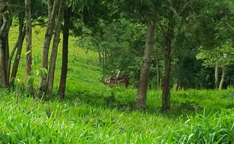O trator caiu cerca de 250 metros. – Foto: Corpo de Bombeiros/Divulga&ccedil;&atilde;o