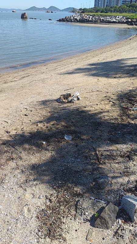 Encontro do “cad&aacute;ver” mobilizou equipes do IGP e da PM – Foto: Vitor Miranda/NDTV