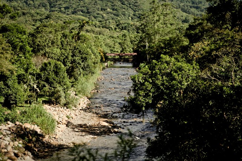 Zona rural de Joinville – Foto: Prefeitura Municipal de Joinville/Divulgação