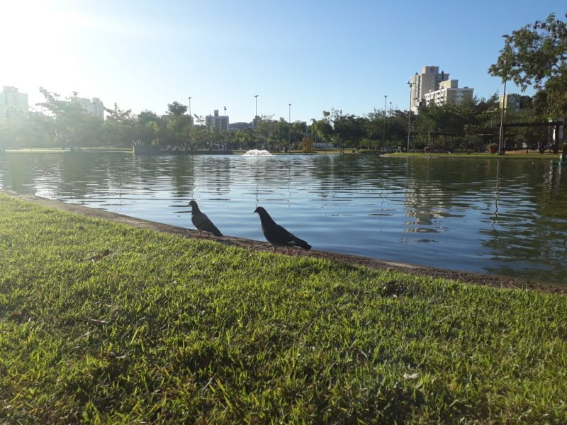 Foto do Parque Ramiro, em Blumenau. Aparecem dois pássaros às margens do lado e um gramado.