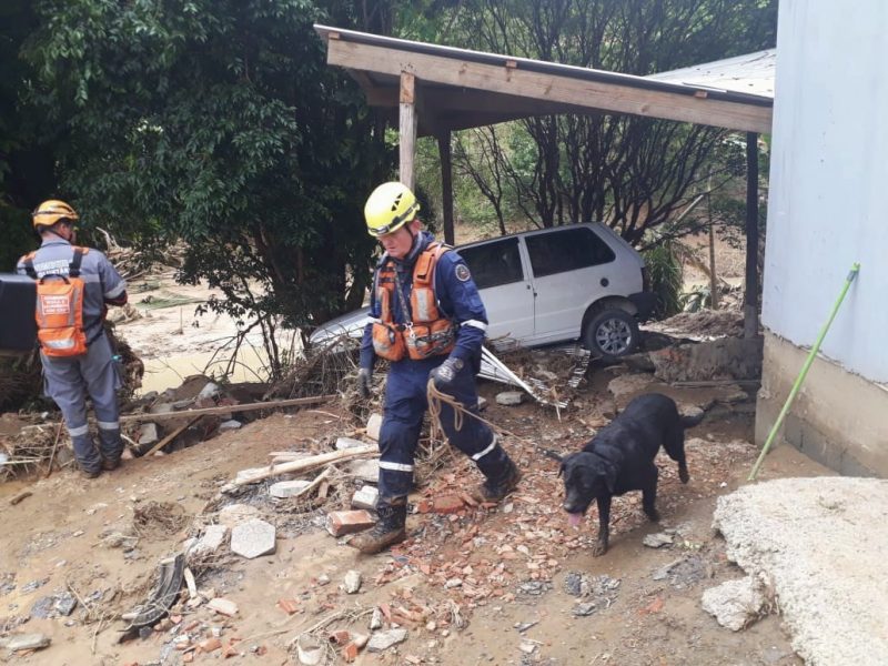 Foto de dois bombeiros fazendo buscas em Presidente Getúlio. Um deles tem a ajuda de um cão farejador.