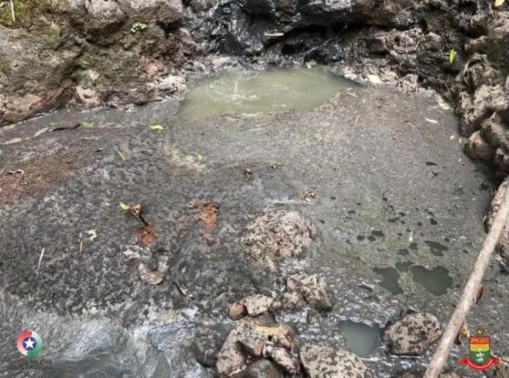Dejetos de su&iacute;no polui riacho e mata dezenas de peixes – Foto: PMA/Divulga&ccedil;&atilde;o/ND