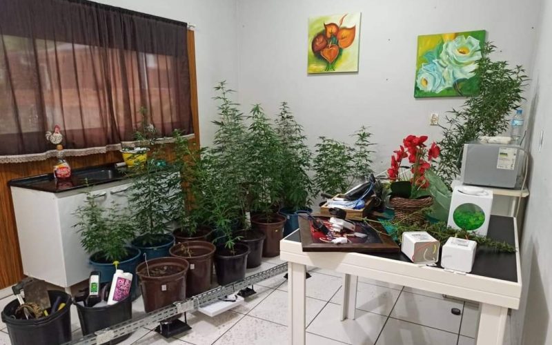 Opera&ccedil;&atilde;o Breaking Bad Rodeio foi deflagrada em 2020 – Foto: Divulga&ccedil;&atilde;o / Pol&iacute;cia Civil