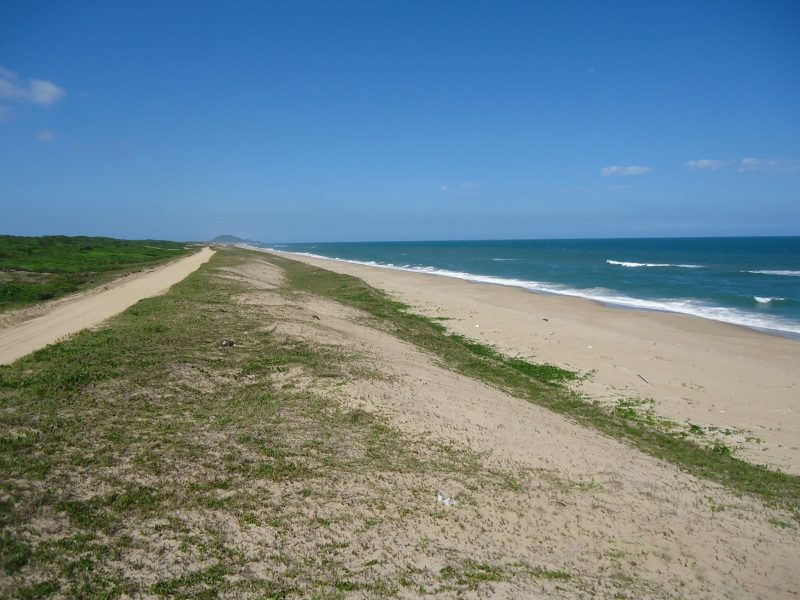 Parque Estadual Acara&iacute; pode ser concedido &agrave; iniciativa privada – Foto: Divulga&ccedil;&atilde;o/ND